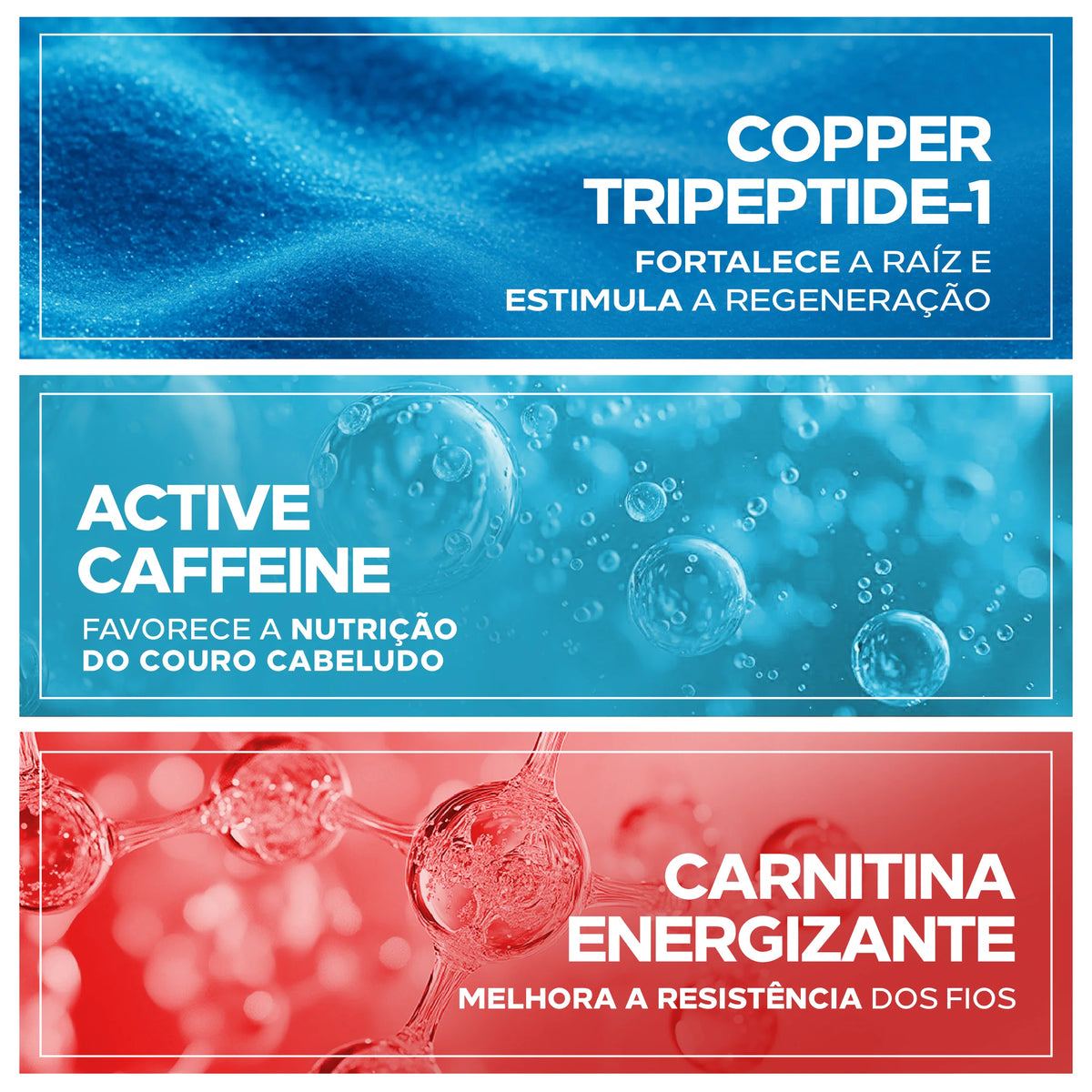 Shampoo Antiqueda Pró-Crescimento com Copper Tripeptide-1, Cafeína e Carnitina – Amplexe Shampoo Antiqueda 250ML